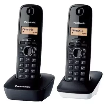 Telefon Bezprzewodowy Panasonic KX-TG1612SP1 Czarny Biały (2 pcs)
